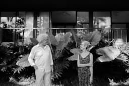 Whispers of Devotion thumbnail 3